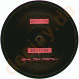 Beatles - Because *shiloh Mix*