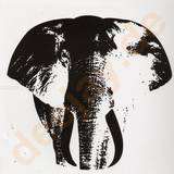 Sin Plomo - La Maison De L'elephant E.p.