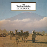 The Teardrop Explodes - Kilimanjaro