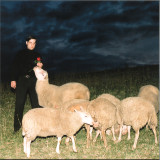 RICHARD LAMB - SALT LICK LP