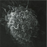 Kashpitzky - Romantic & Dead 2x12"