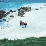 Penelope Isles - 3 LP