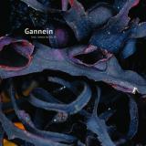 Gannein - Lux [Printed Sleeve]
