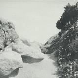 Tilman - Mild Western Ep