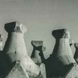 Cosmin Trg - Uzura, Vitrio