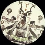 Cristalli Liquidi - Sciame