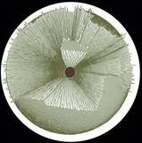 Clyde Corley / Kyle Parker - Sr001