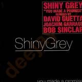 Shiny Grey - You Made A Promise