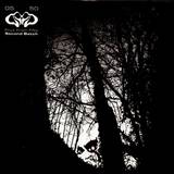 Fruit From Fifty - Second Batch