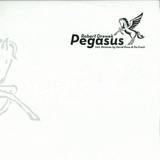 Robert Drewek - Pegasus