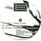 Mesmer & Teknic B - Dead Flash