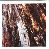 Pugilist & Another Channel - Fight Authority / Seek Truth