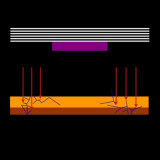 SALELE - For Pitch Division