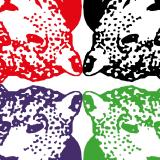 Tiger & Woods - Through The Green (LP 2x12")