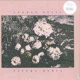 Andrea Belfi - Natura Morta