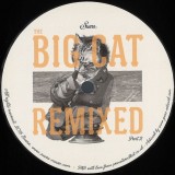 Coyu - The Big Cat Remixed Part 2