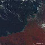 Naduve - A Trip In Tel Aviv