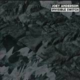 Joey Anderson - Invisible Switch Eu2lp+7"