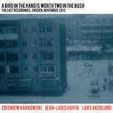Zbigniew Karkowski, Jean Louis Huhta, Lars Akerland - A Bird In The Hand Is Worth Two In The Brush (2cd)