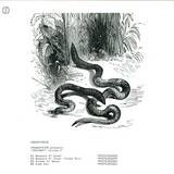 Crackboy - Vhs Stories Part 2