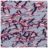 Deftones - Gore 2xlp