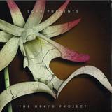Scar - The Orkyd Project - 2x12"