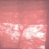 Shxcxchcxsh - Rosten 2