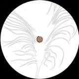 Robag Wruhme - Lampetee