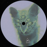 Shaun Reeves & Tuccillo - Superstitions EP