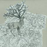 St. Plomb - Wild At Heart