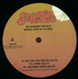 Al Kent Presents Million Dollar Disco - The Raspberry Freeze Ep