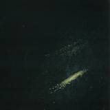 Swamp Records - - Sicko Cell / Knock Knock