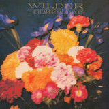 The Teardrop Explodes - Wilder