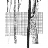 Various - Systema Naturae I