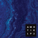 Amotik - Patanjali 2x12"