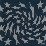 TORO Y MOI - HOLE ERTH LP