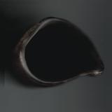 hoyah חיה - Can I Get A Chayah? (TAPE)