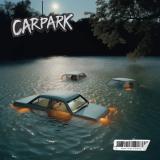Carpark - Born To Be Average LP