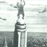 Echologist - Storming Heaven 3x12"