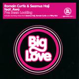 Romain Curtis & Seamus Haji Feat. - Ive Been Looking