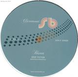 Bison - Soup Fiction