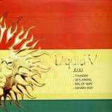 Liquid V - Juju 2x12"