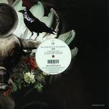 Nic Fanciulli & Zoo Brazil - Ide