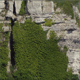 Abul Mogard - Kimberlin