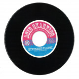 Istari Lasterfahrer - Acid Skanking Vol. 1