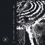 IOM - Synthetic Dreams of a Carpet Moth