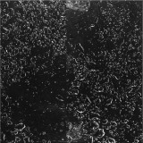 Various - Void Stares Back