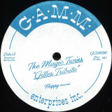 Vinyl Records Shop- GAMM Recordings