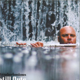 TENDERLONIOUS - STILL FLUTE