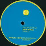 Sam Binga - Ayo / Freezy